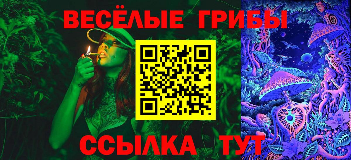 Псилоцибиновые грибы MAGIC MUSHROOMS Черемхово