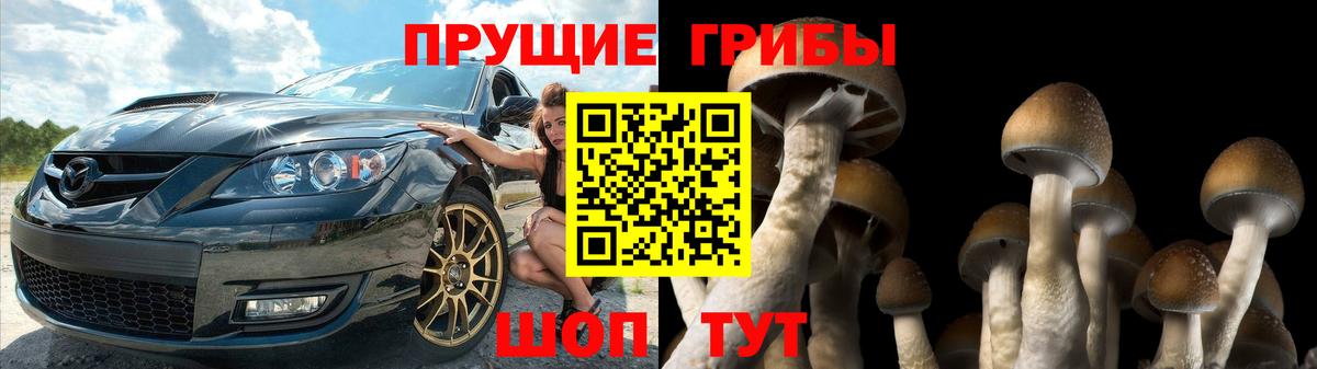 Черемхово  Галлюциногенные грибы мухоморы  Вход с VPN 